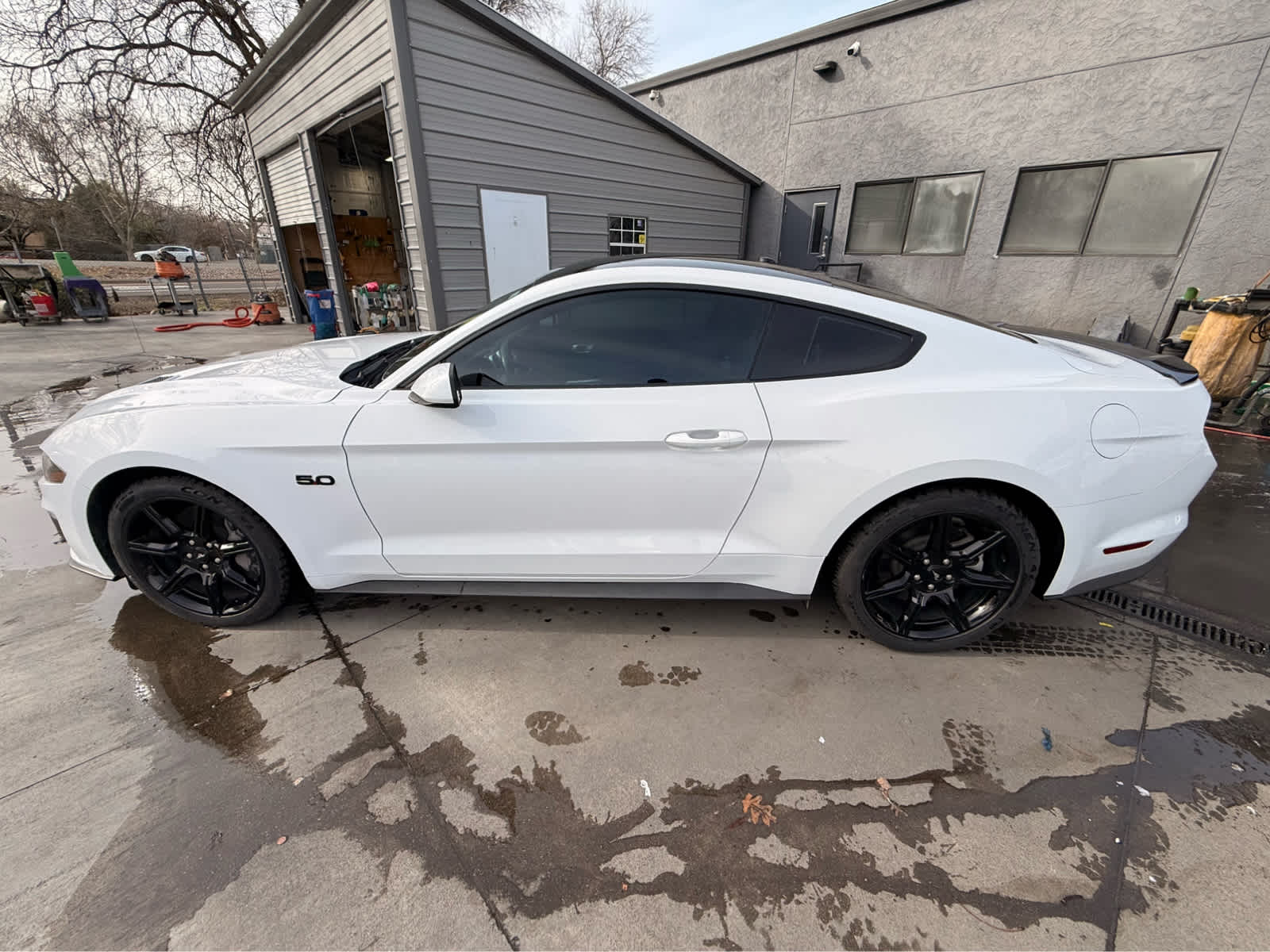 2019 Ford Mustang GT