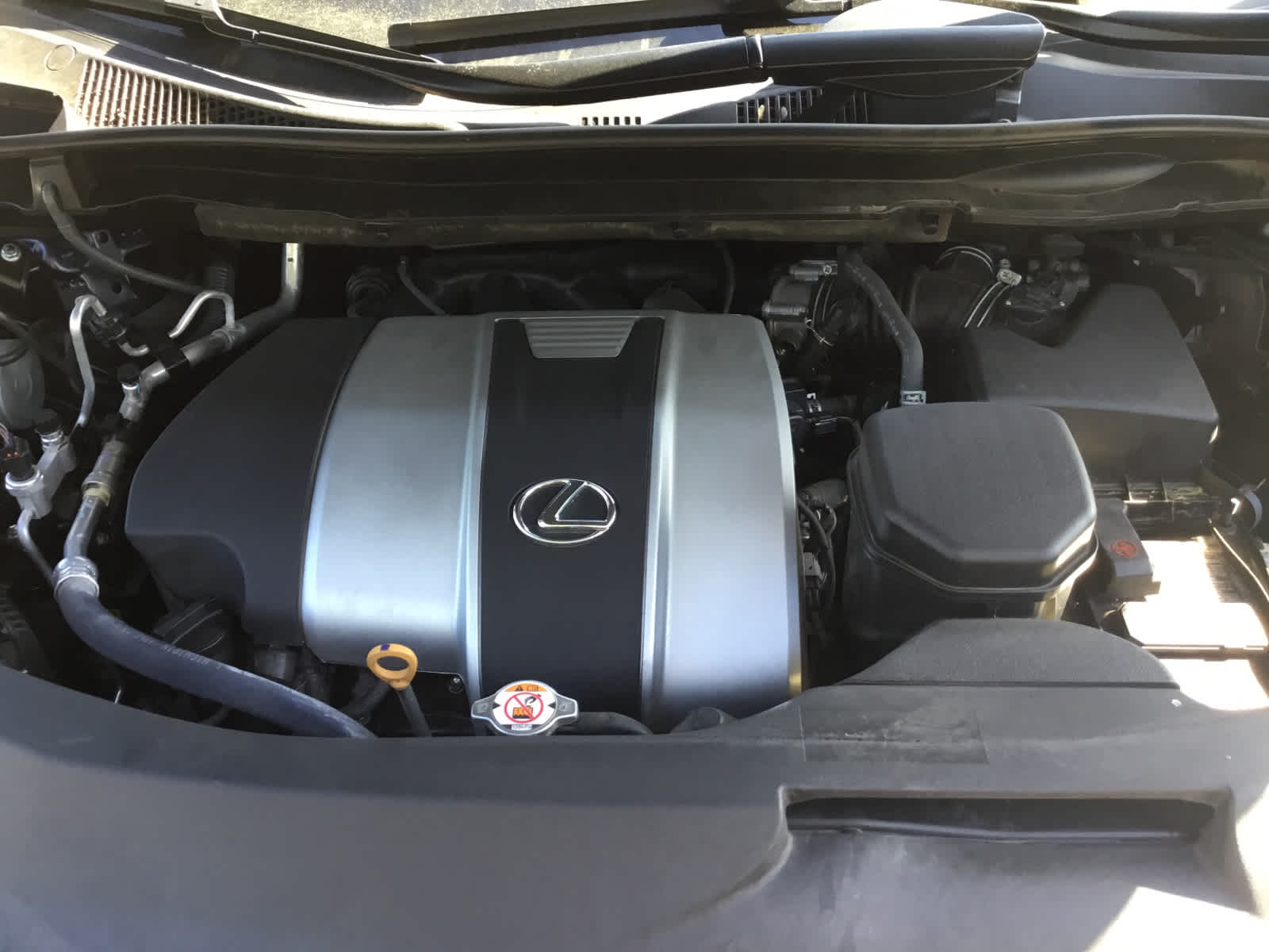 2021 Lexus RX 350 RX 350