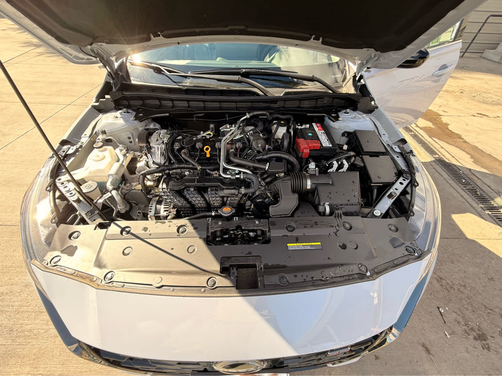 2025 Nissan Altima SR