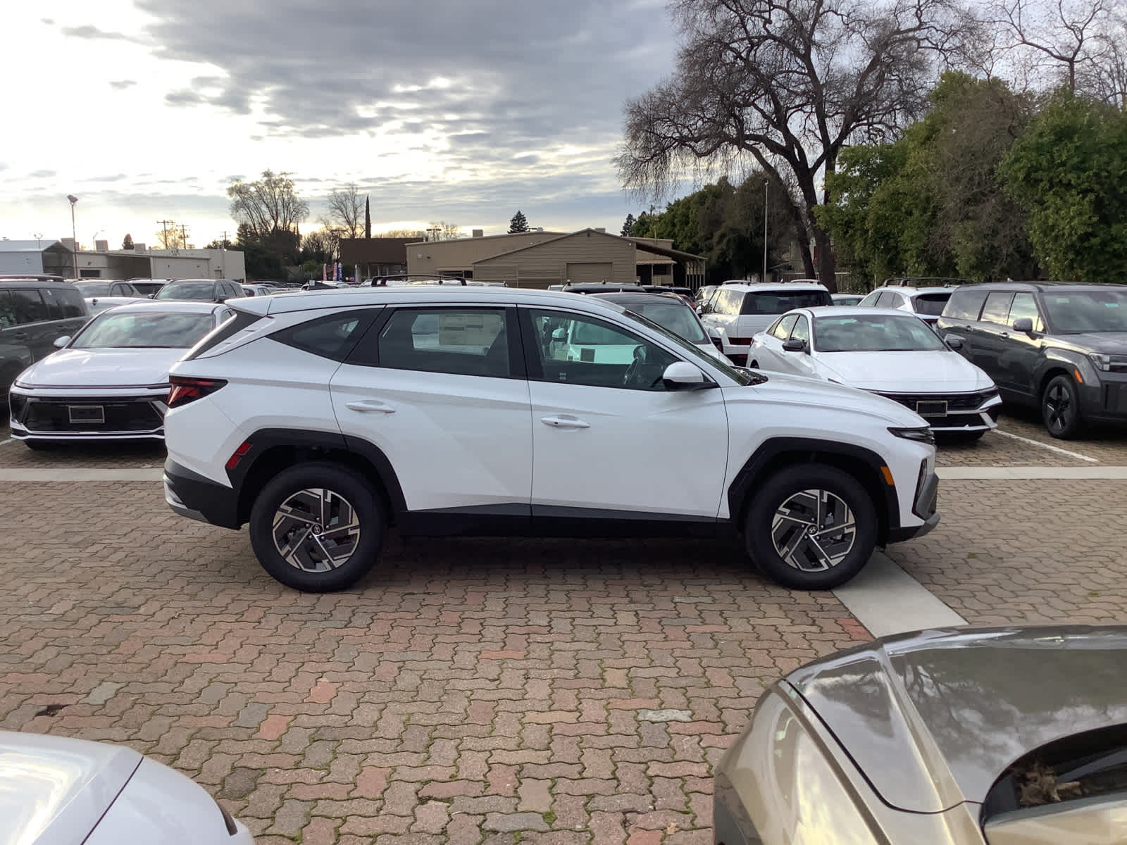 2026 Hyundai Tucson Hybrid Blue SE