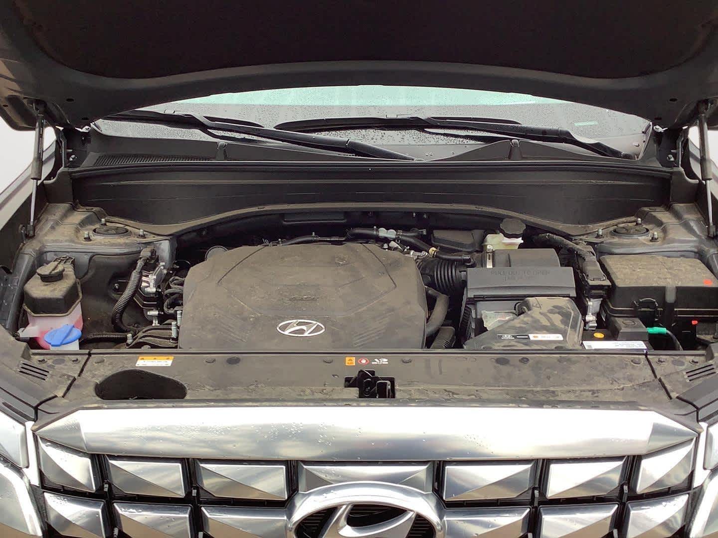 2025 Hyundai Palisade Calligraphy