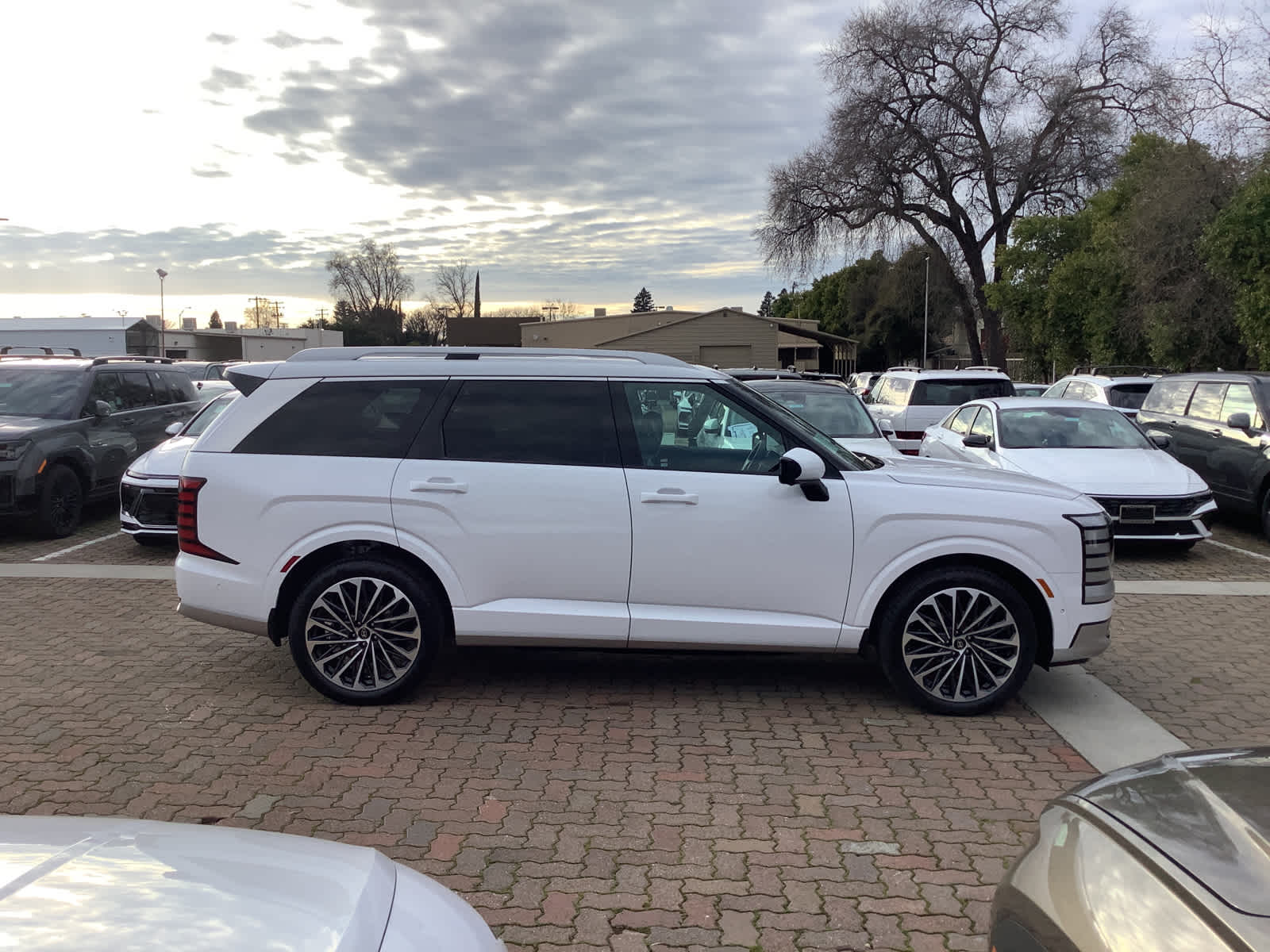 2026 Hyundai Palisade Hybrid Calligraphy